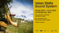 Wallis Sound System - auch im Naturmuseum Wallis