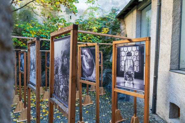 Fotoausstellung «De l’alpin au jardin»