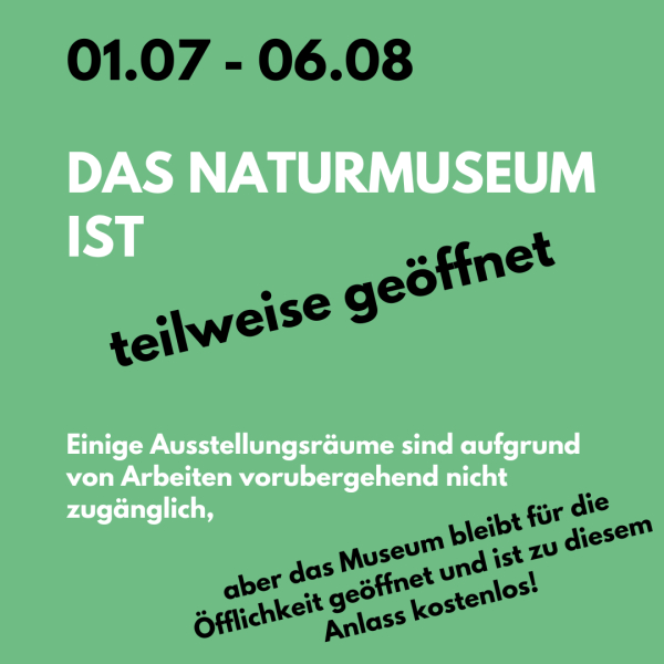Das Naturmuseum ist teilweise geöffnet